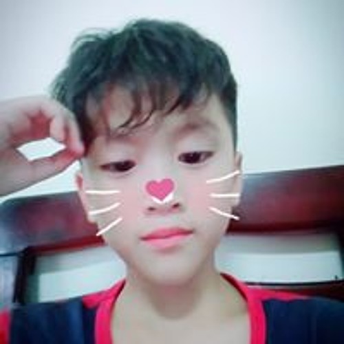 Hoàng Việt Trung’s avatar