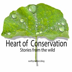 Heart of Conservation. Podcast from the Himalaya
