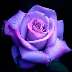 Singin' a Song or Two