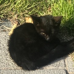 babyblu