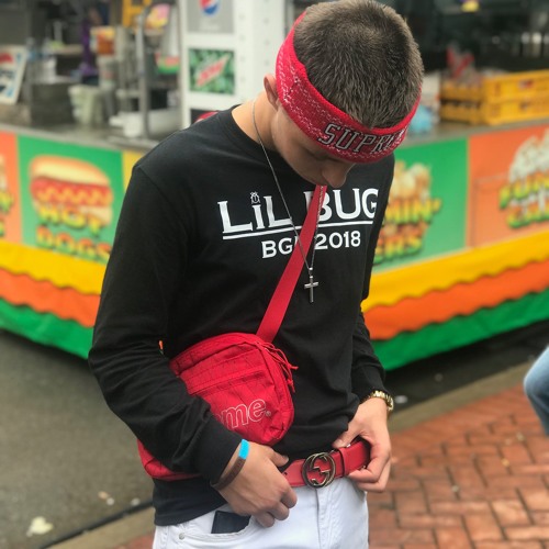 Stream Lil Bug music | Listen to songs, albums, playlists for free on ...