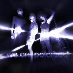 We Are Polarized