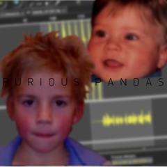 furious pandas