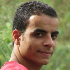 Ayman Ahmed