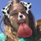 Samantha Shaw