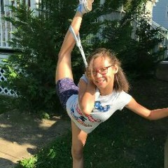 FlexibleDreamer _2017