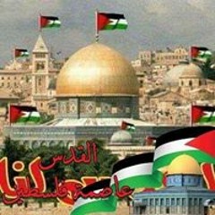 سعيد ابو محمود