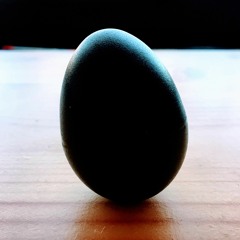 Egg Shaker