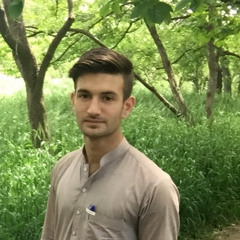 Zia Khan