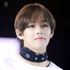 LAURA VILLAGRAN BRAVO