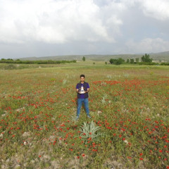 rasool alipour
