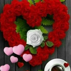 rasha