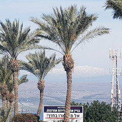 Mohammed Ziad