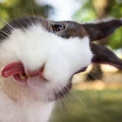 Nathan needs to apologise