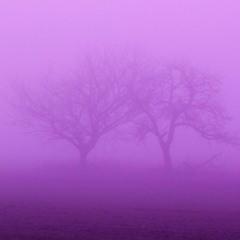 Das Nebel