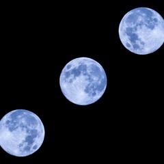 T H A T / S T U B B O R N / D R E A M E R / Jorik