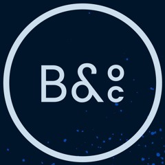 Bears and Other Carnivores