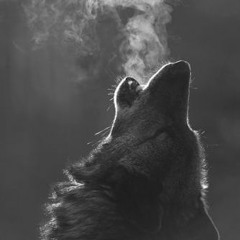 Geometric Wolf