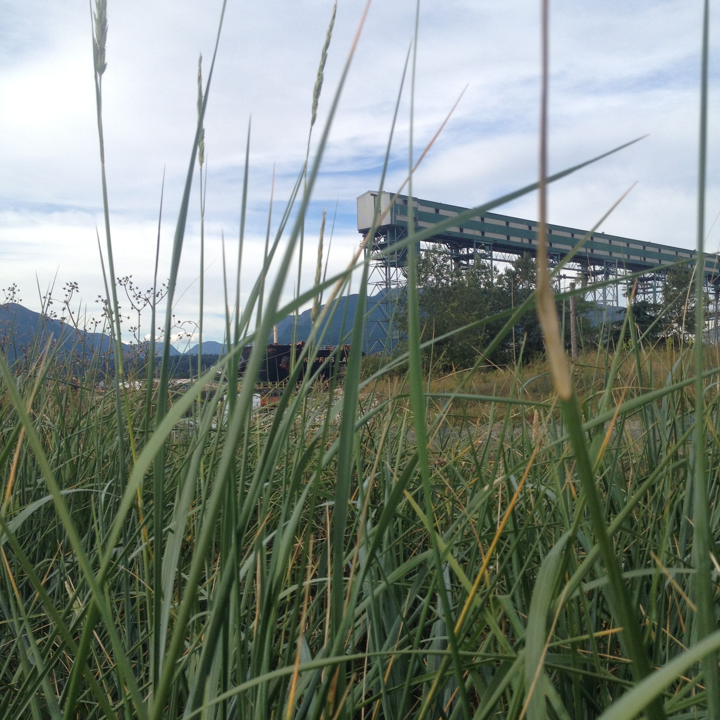 The Foreshore Listens