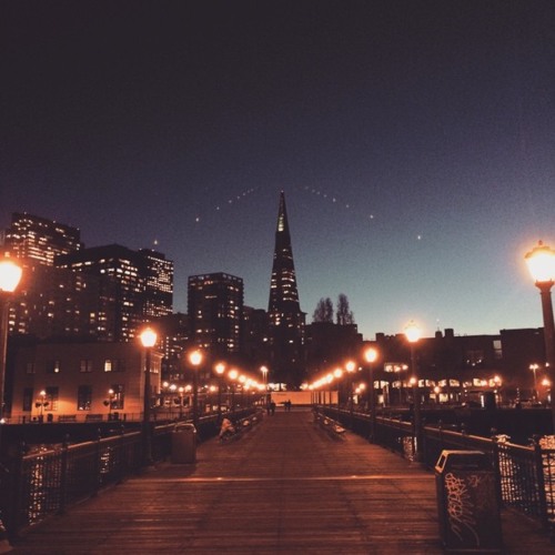 FOR THE LOVE OF MONEY