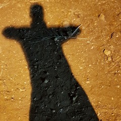 Yossi
