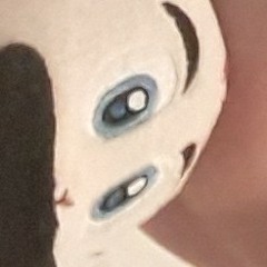 FullerHornet150 vhhgy