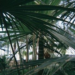 HlneDavl