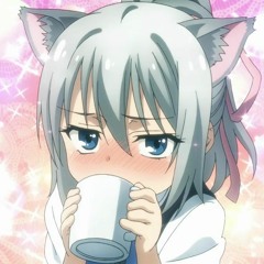 NekoDaisuki