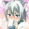 NekoDaisuki