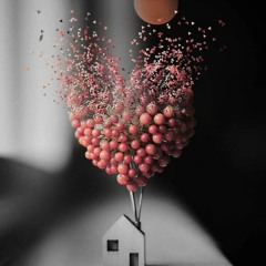 عابره سبيل