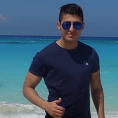 Abdelhamid elsharkawy