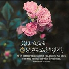 rana sayed