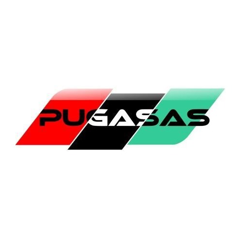 PUGASAS’s avatar