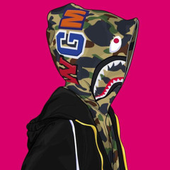 TAAP_ SalsaShark