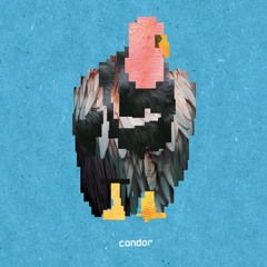 Condor | Conor O.