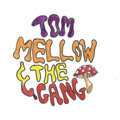 tom mellow and the gang