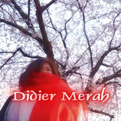 Didier Merah