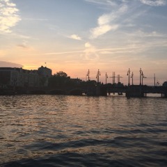 Amber van der Schoot