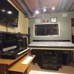 Wild Vivid Bloom - Living in an Illustration