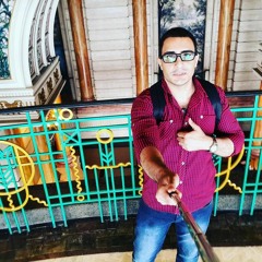 Ahmed El-fanagely