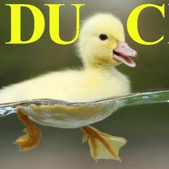 DuckSauce
