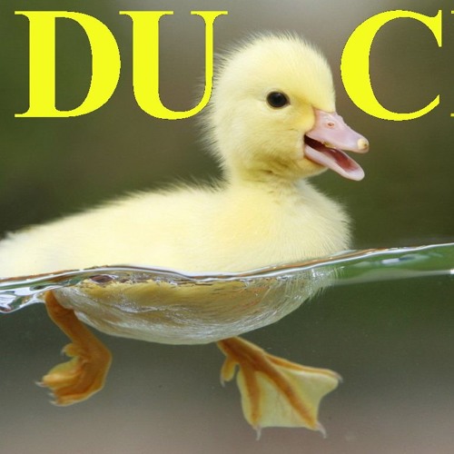 DuckSauce’s avatar