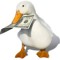 Duckland