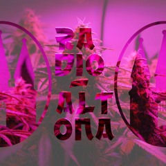 Radio Altona