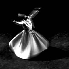 Adham Aly