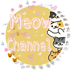 Meow Channel
