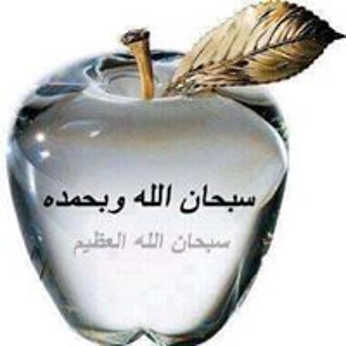 Ahmed Mohsen’s avatar