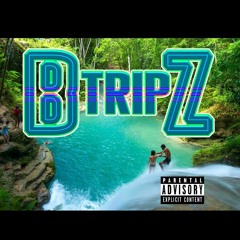 BtripZ