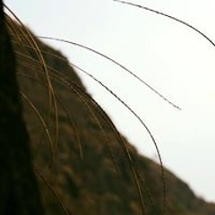 Wangchuk Thinley