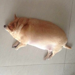 Đức Long